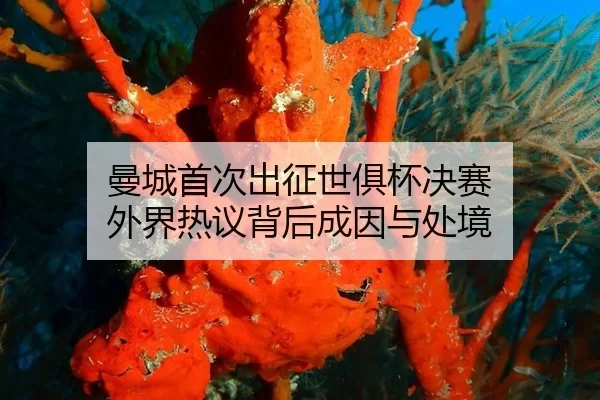 man-cheng-shou-ci-chu-zheng-shi-ju-bei-jue-sai-wai-jie-re-yi-bei-hou-cheng-yin-yu-chu-jing-2-759.jpg